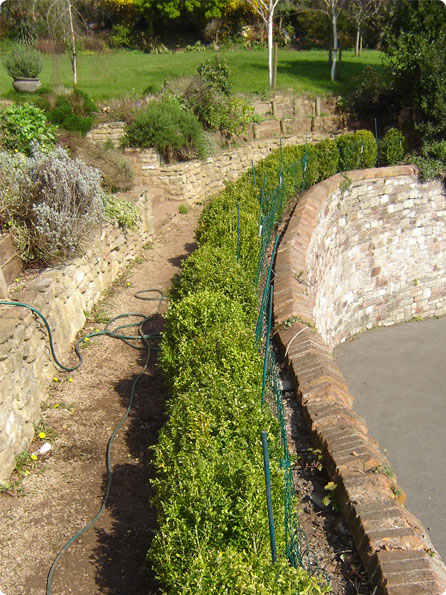 Garden maintenance at The Paragon, Clifton