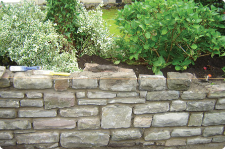 The wall at Edgecumbe Road.